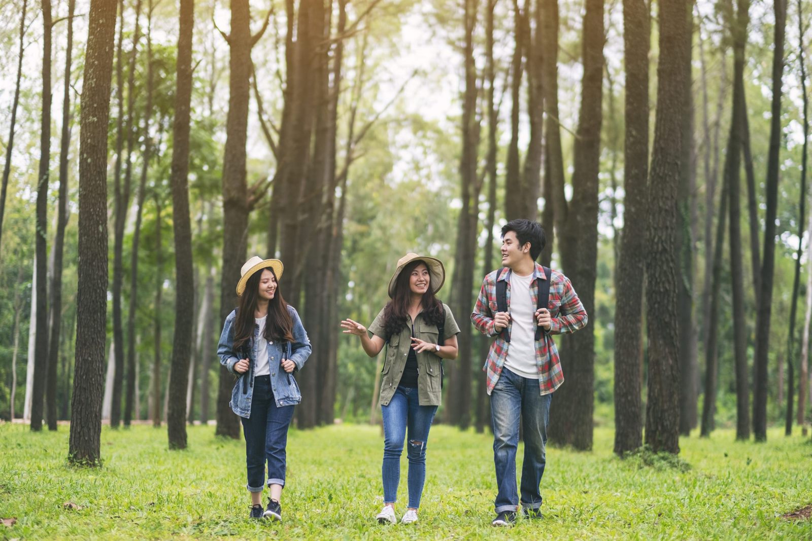Three students walking together through a pine forest